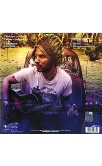 Raise Vibration - Lenny Kravitz