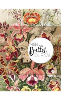 Mijn Bullet Journal