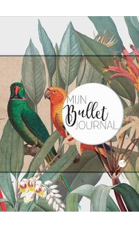 Mijn Bullet Journal