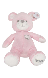 Pluche Bear Zittend Groot 60cm Roze