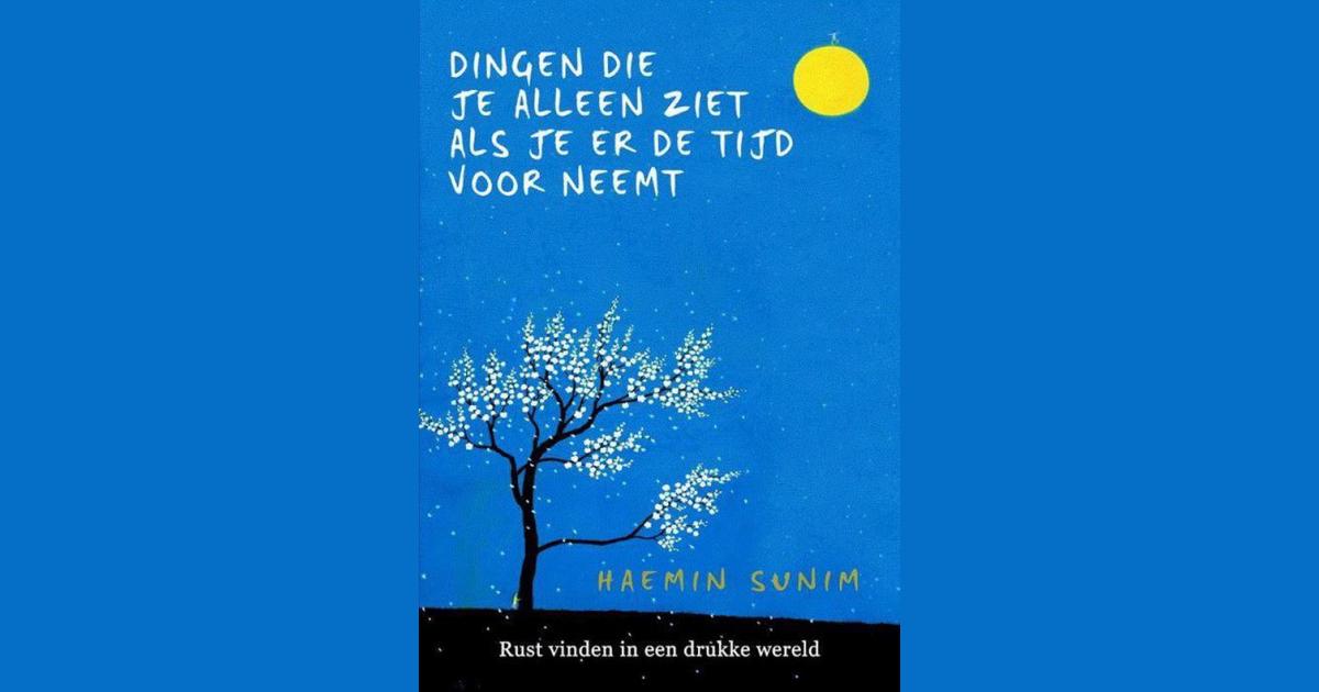 Dingen die je alleen ziet als je er de tijd voor neemt - Haemin Sunim