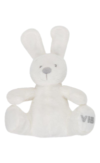 Pluche Konijn Zittend Wit