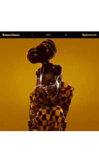 Sometimes I Might Be Introvert - Little Simz
