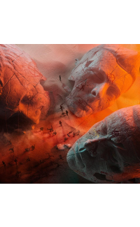 Will of the people - Muse