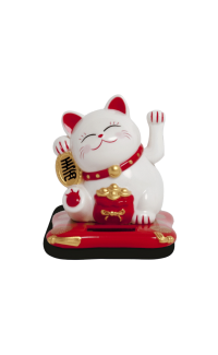 Lucky Cat Solar
