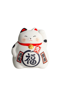 Edo Spaarpot Lucky Cat