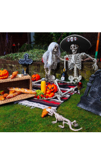 Krokodillenskelet (16 x 50 cm)