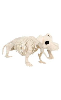 Hondenskelet (52 cm)