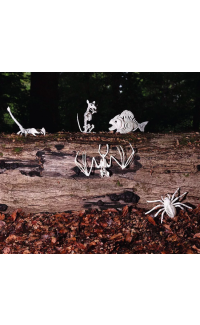 Vleermuis skelet (30 cm)