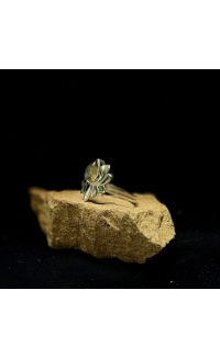 Labradorietring LOTUS