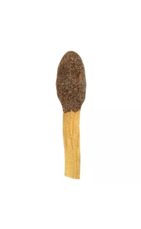 Black Sage Palo Santo Stick Pop