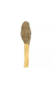 White Sage Palo Santo Stick Pop