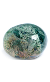 Green Moss Jasper Crystal
